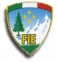 Logo FIE